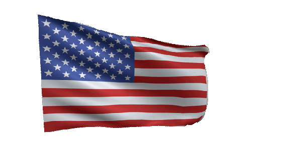 Salute-American-Flag